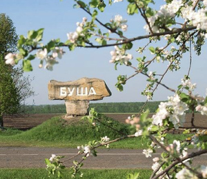 Подорож до місця сили, таємнича Буша