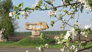 місце сили - таємнича Буша фото